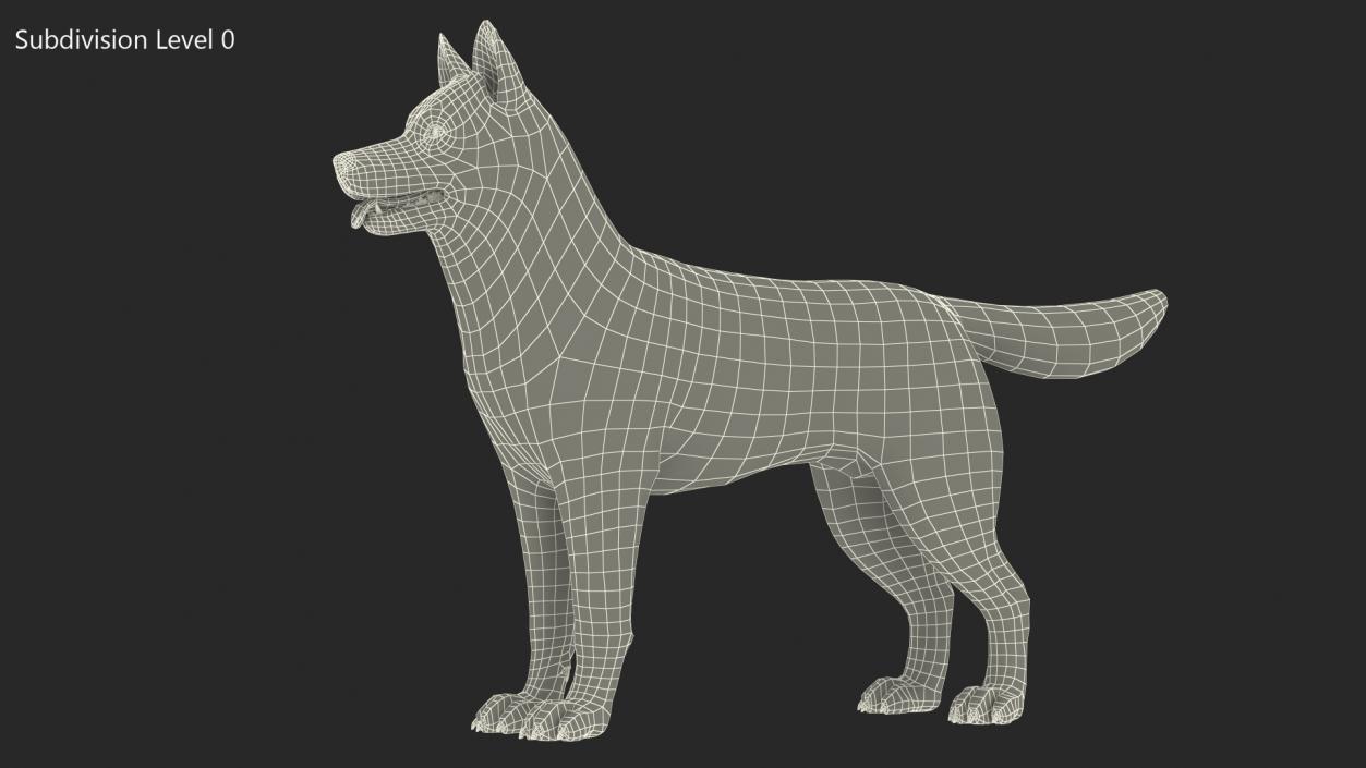 3D Siberian Husky Gray and White Rigged