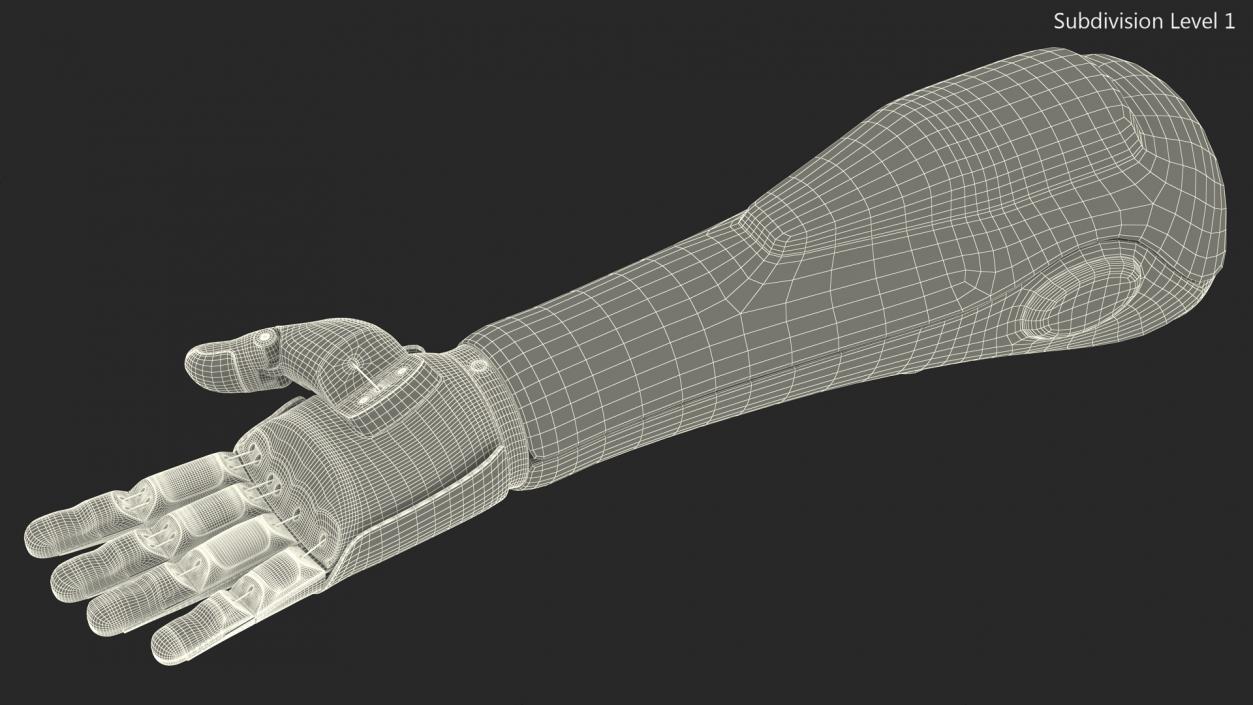 3D model Prosthetic Arm Rigged for Cinema 4D