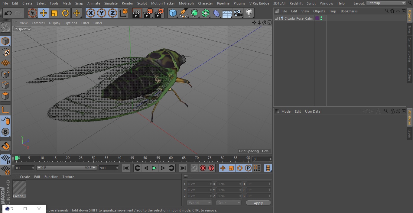 3D Cicada Pose Calm