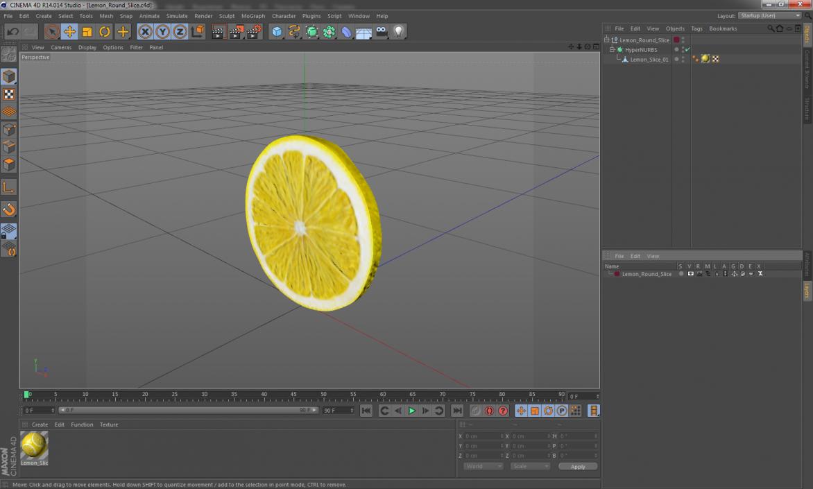 Lemon Round Slice 3D