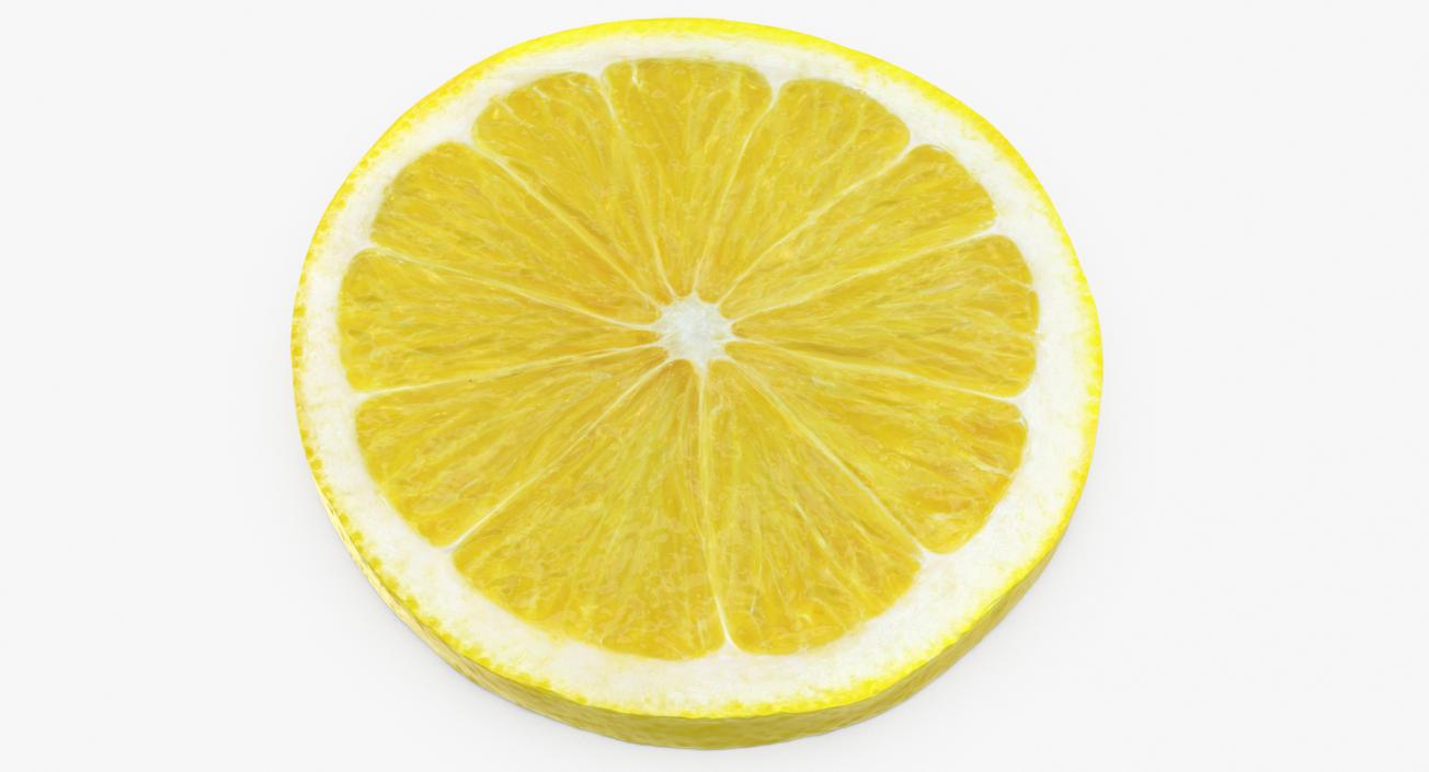 Lemon Round Slice 3D