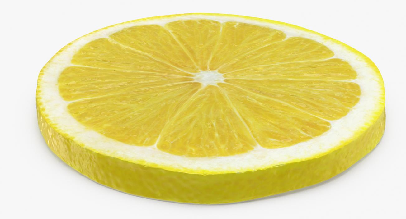 Lemon Round Slice 3D