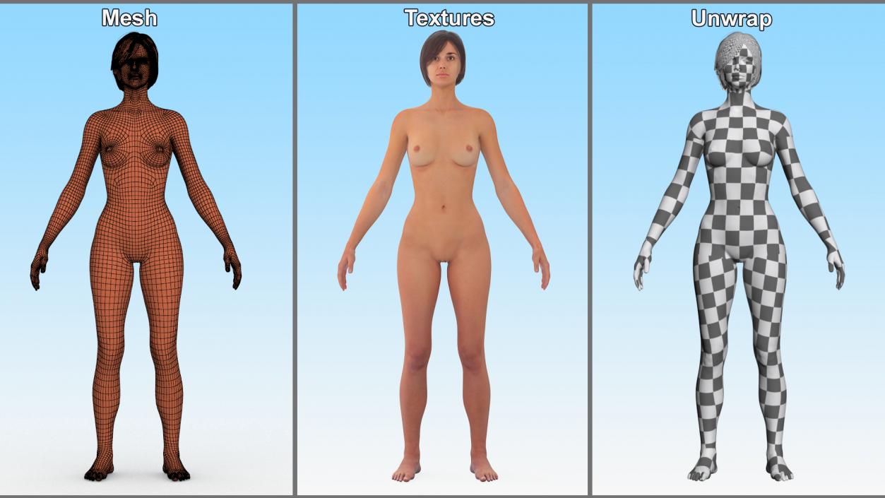 Realistic Female Full Anatomy 3D model