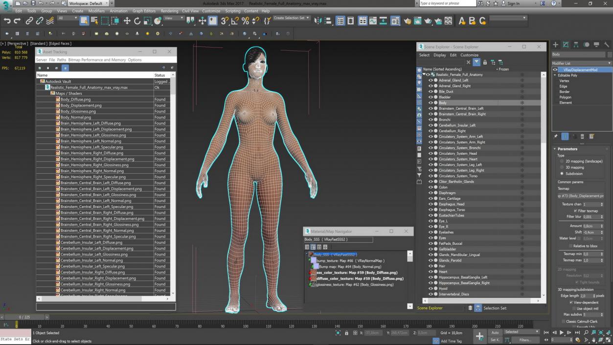 Realistic Female Full Anatomy 3D model