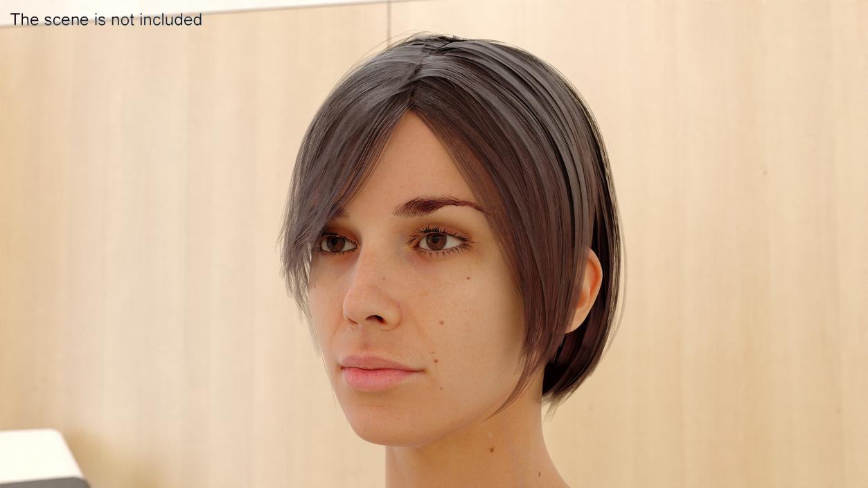 Realistic Female Full Anatomy 3D model