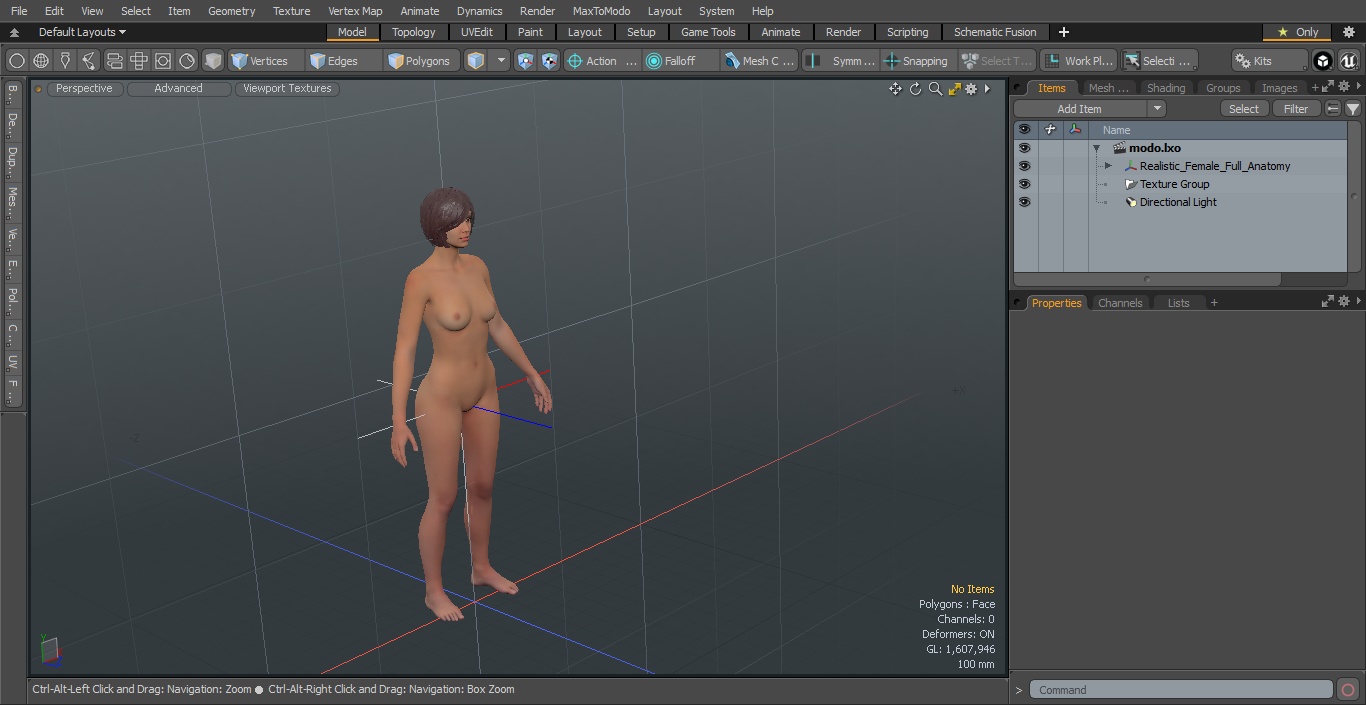 Realistic Female Full Anatomy 3D model