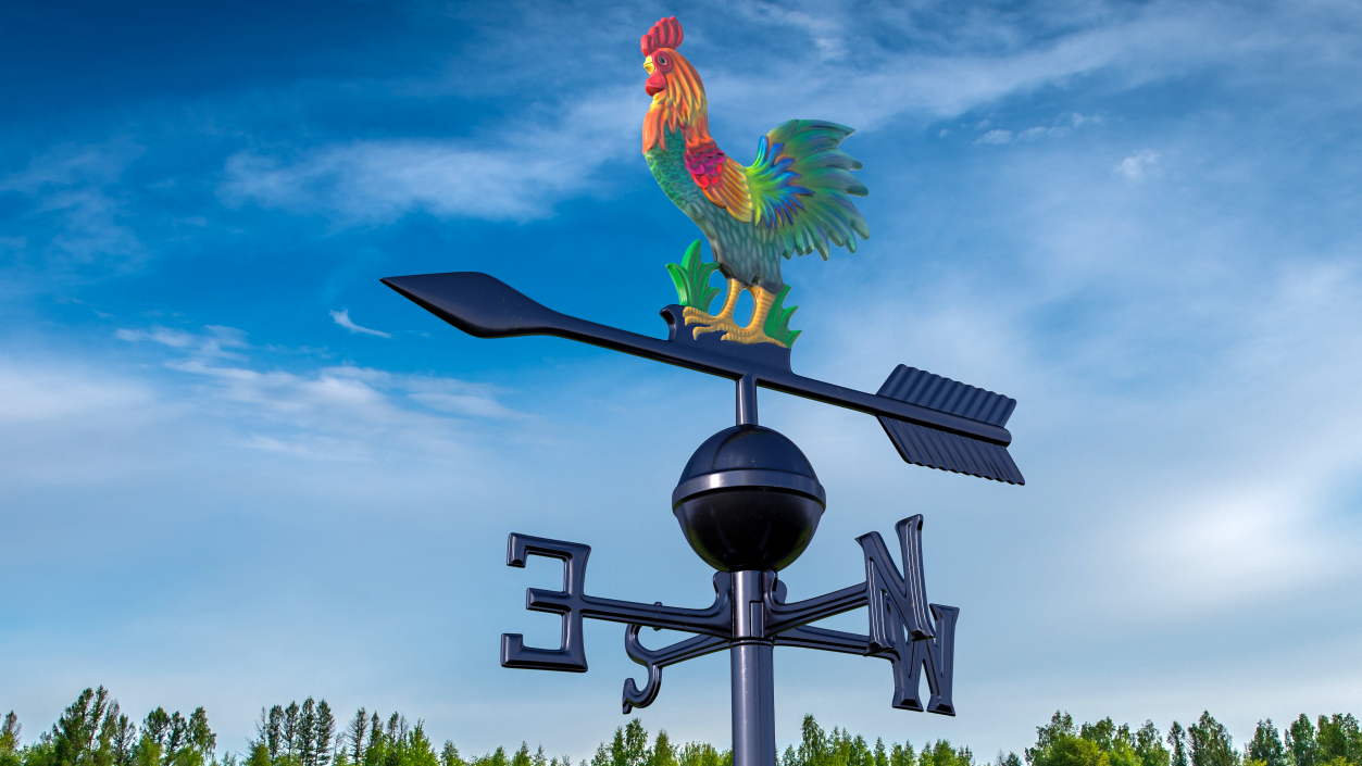 Painted Rooster Weathervane 3D