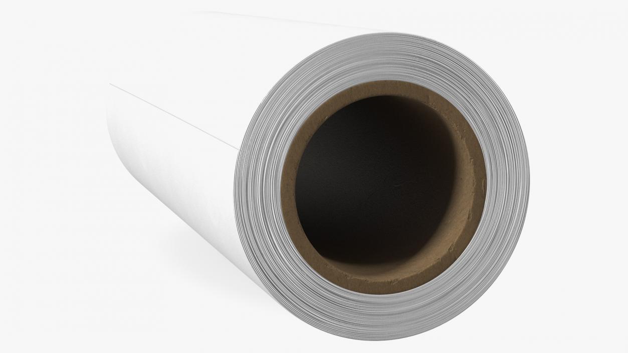 3D Paper Roll White