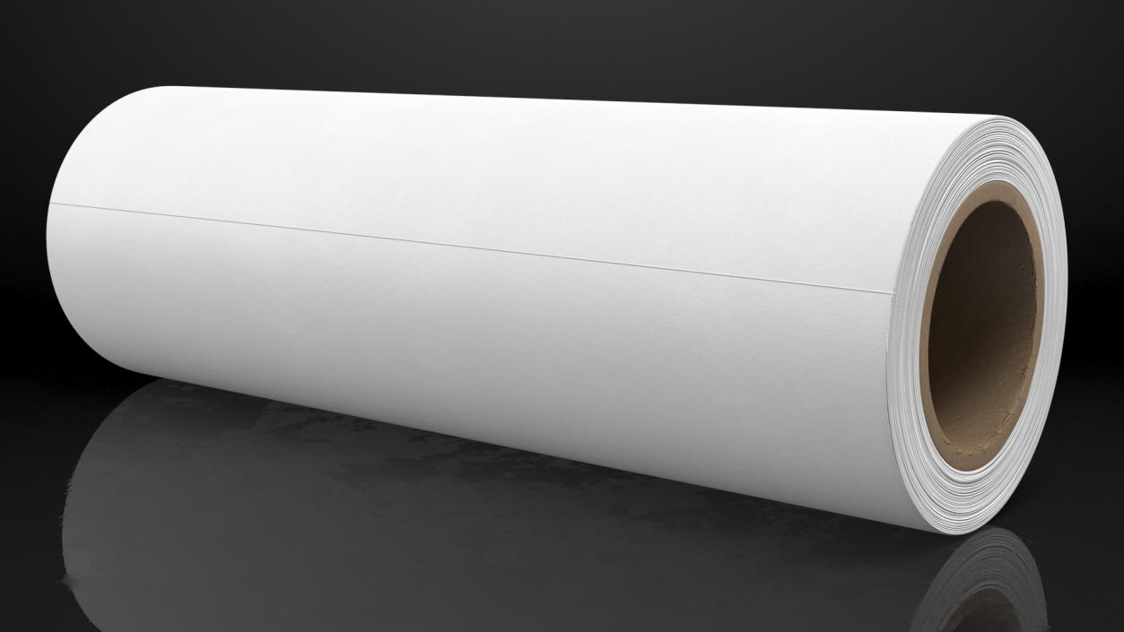 3D Paper Roll White