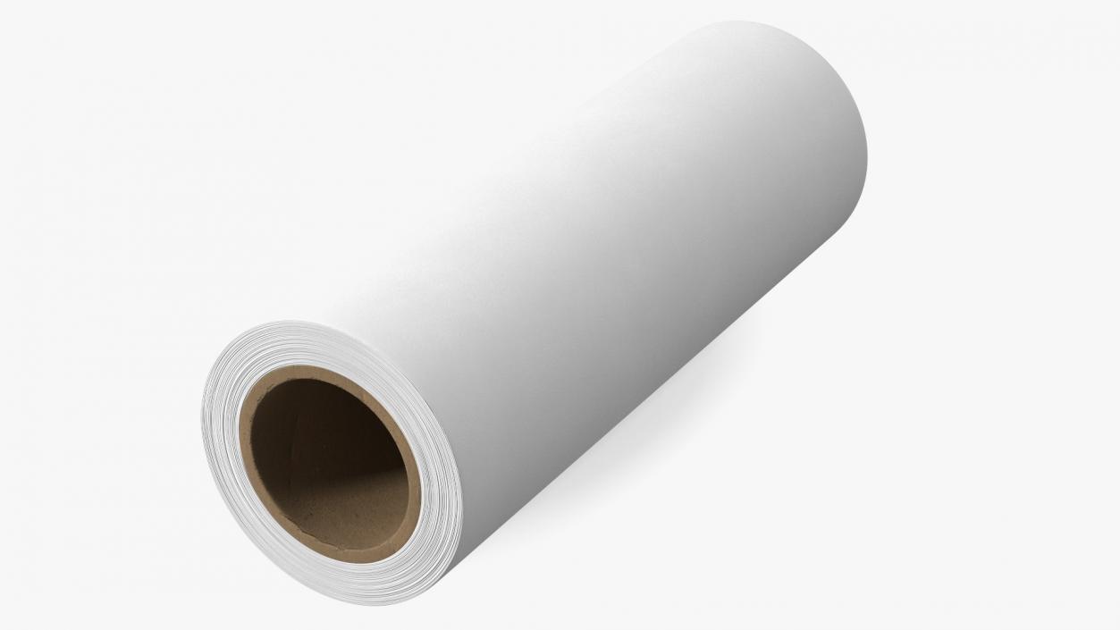 3D Paper Roll White