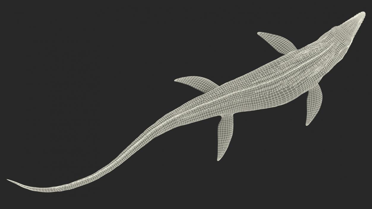 Mosasaurus Swimming 3D model