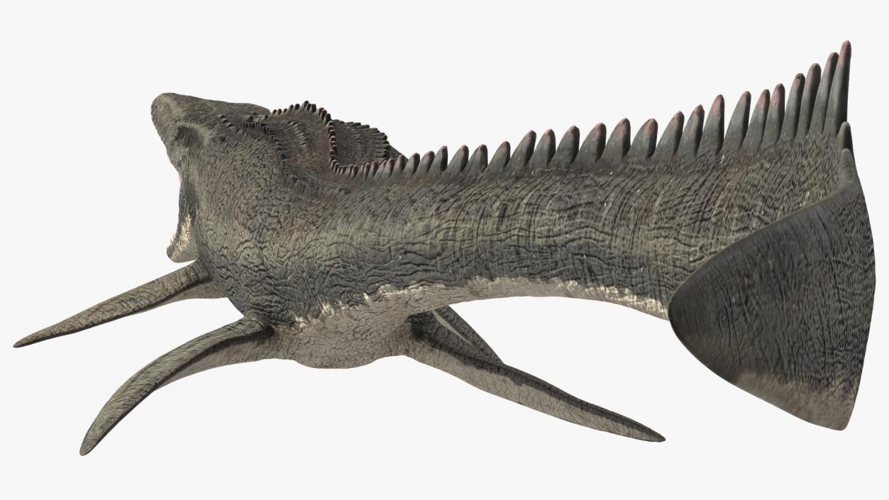 Mosasaurus Swimming 3D model