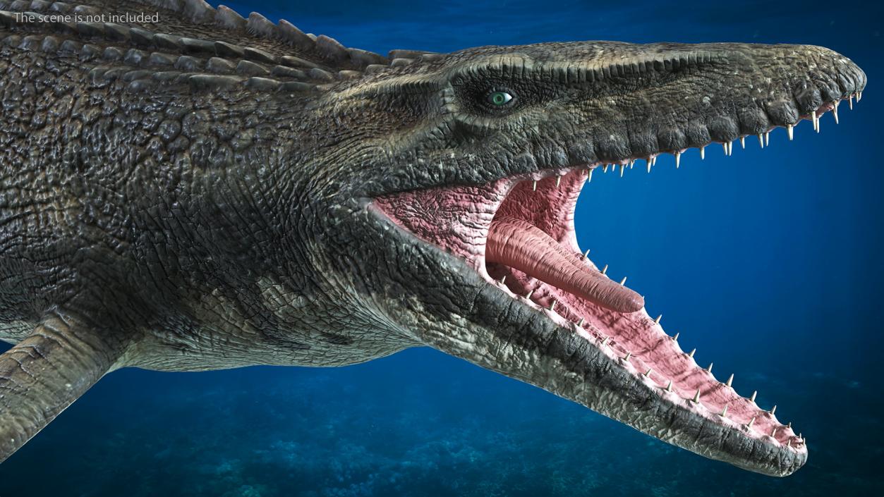 Mosasaurus Swimming 3D model