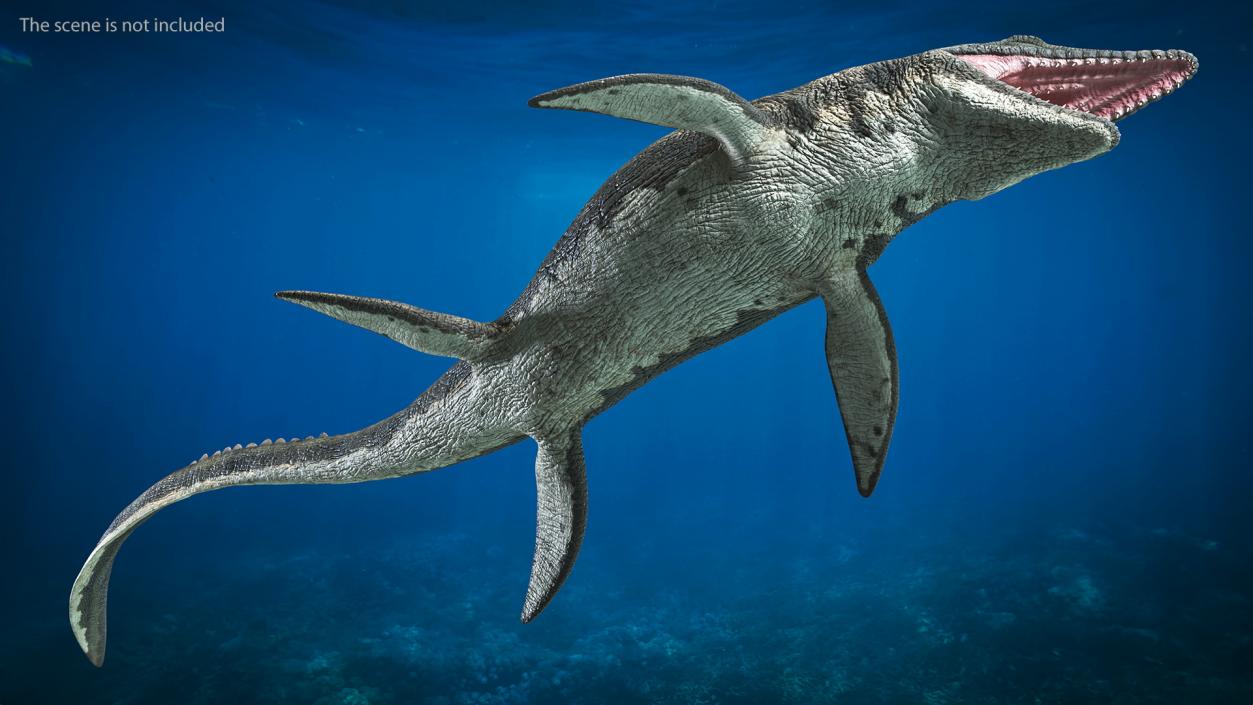 Mosasaurus Swimming 3D model