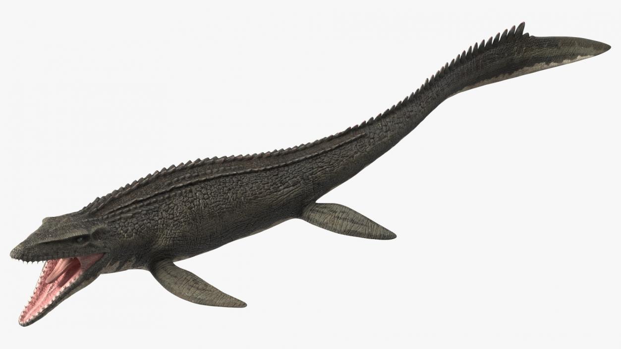 Mosasaurus Swimming 3D model