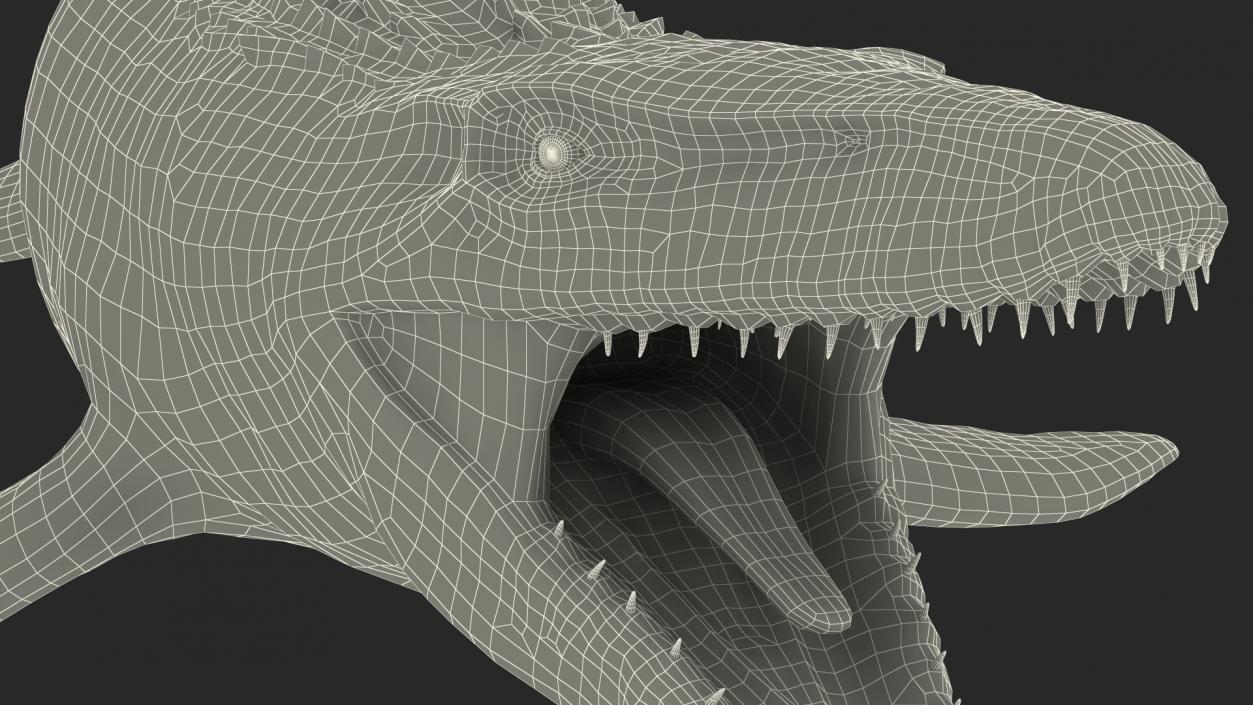 Mosasaurus Swimming 3D model