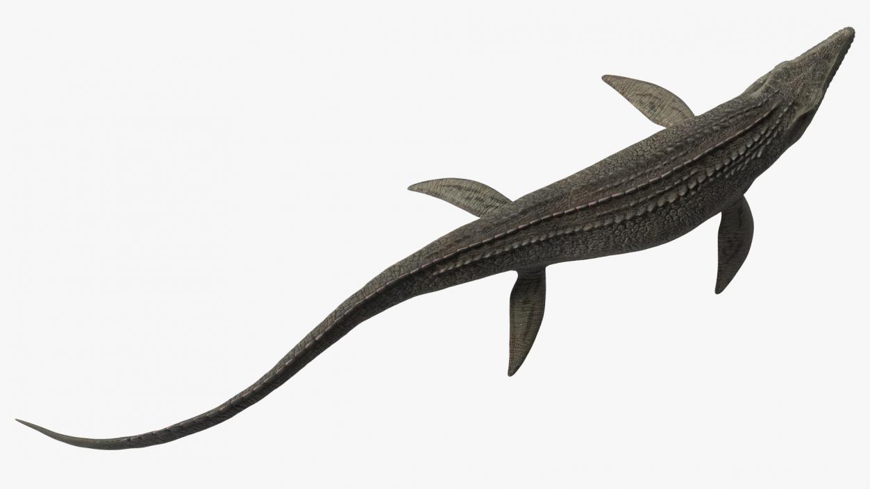 Mosasaurus Swimming 3D model