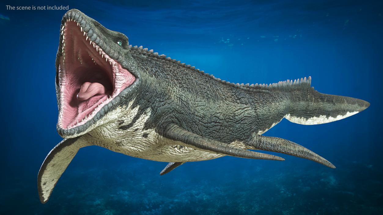 Mosasaurus Swimming 3D model