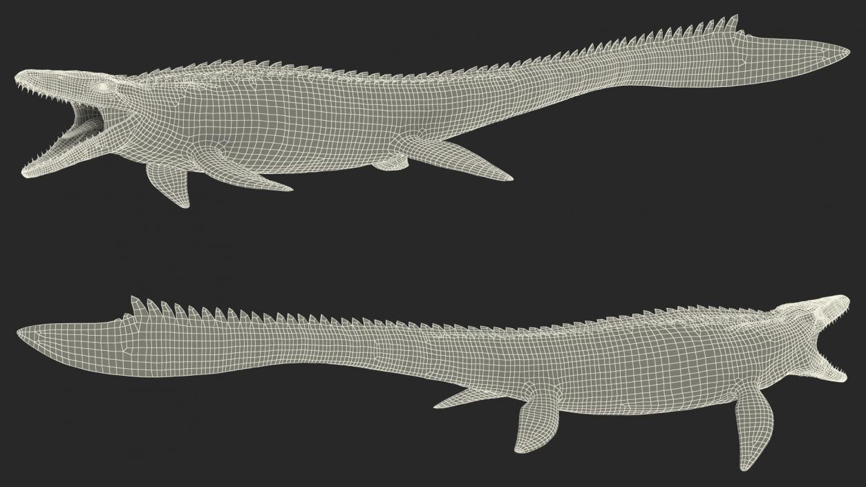 Mosasaurus Swimming 3D model