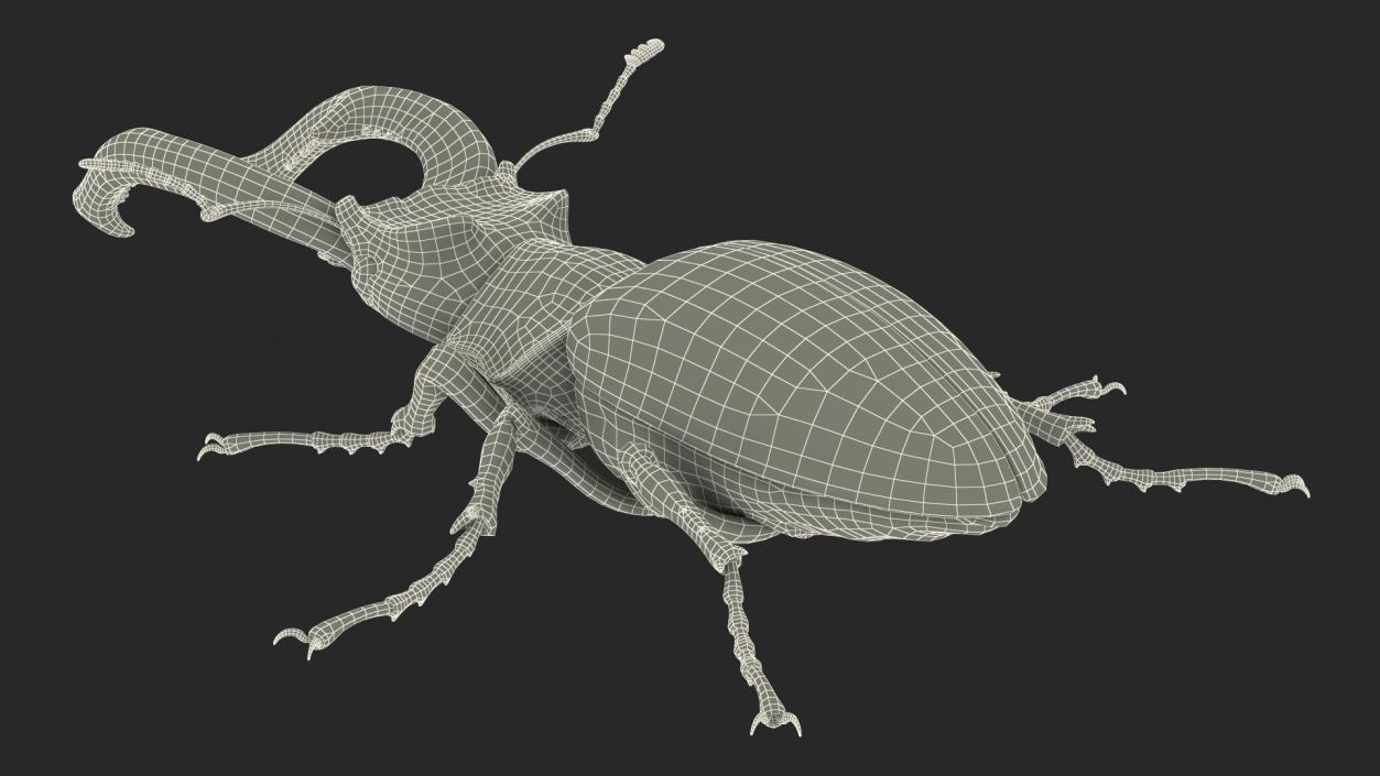 Lucanus Cervus Stag Beetle Walking Pose 3D model