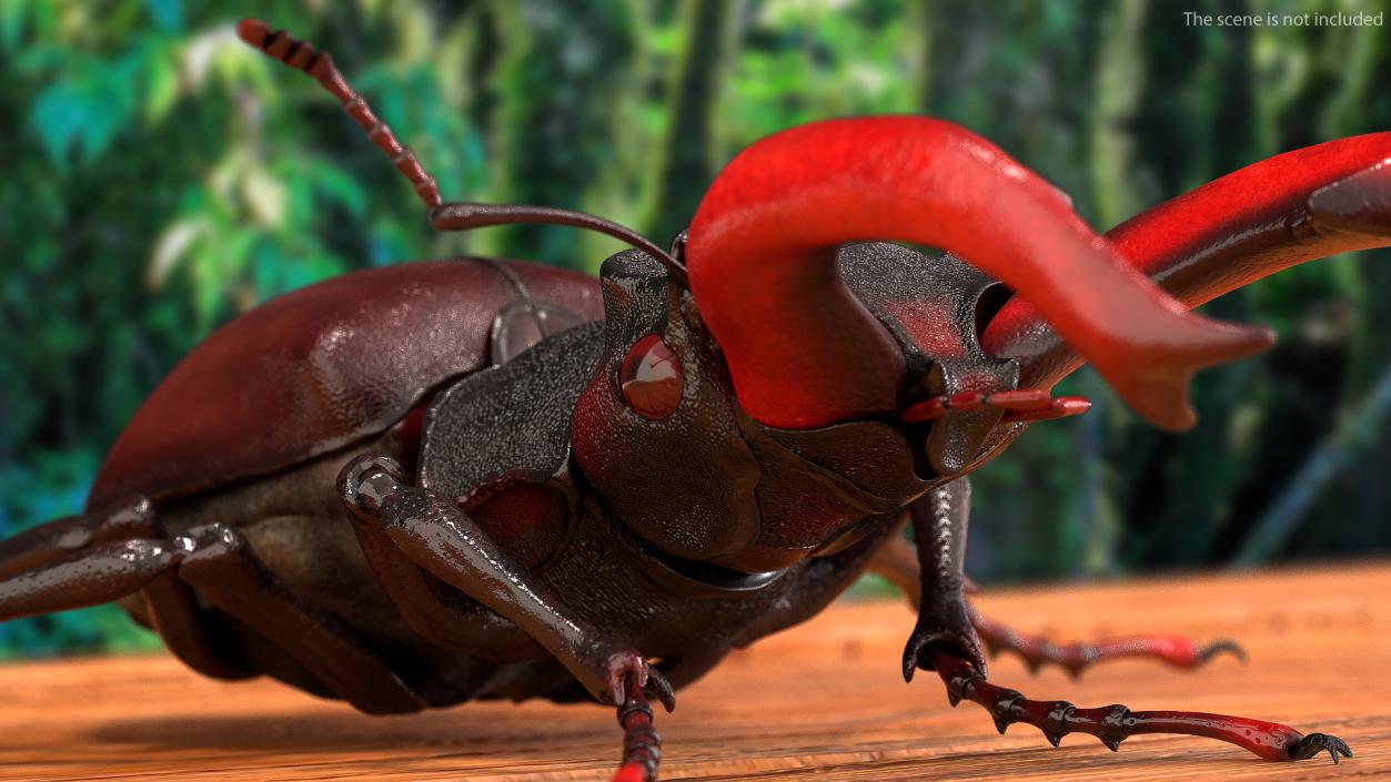 Lucanus Cervus Stag Beetle Walking Pose 3D model