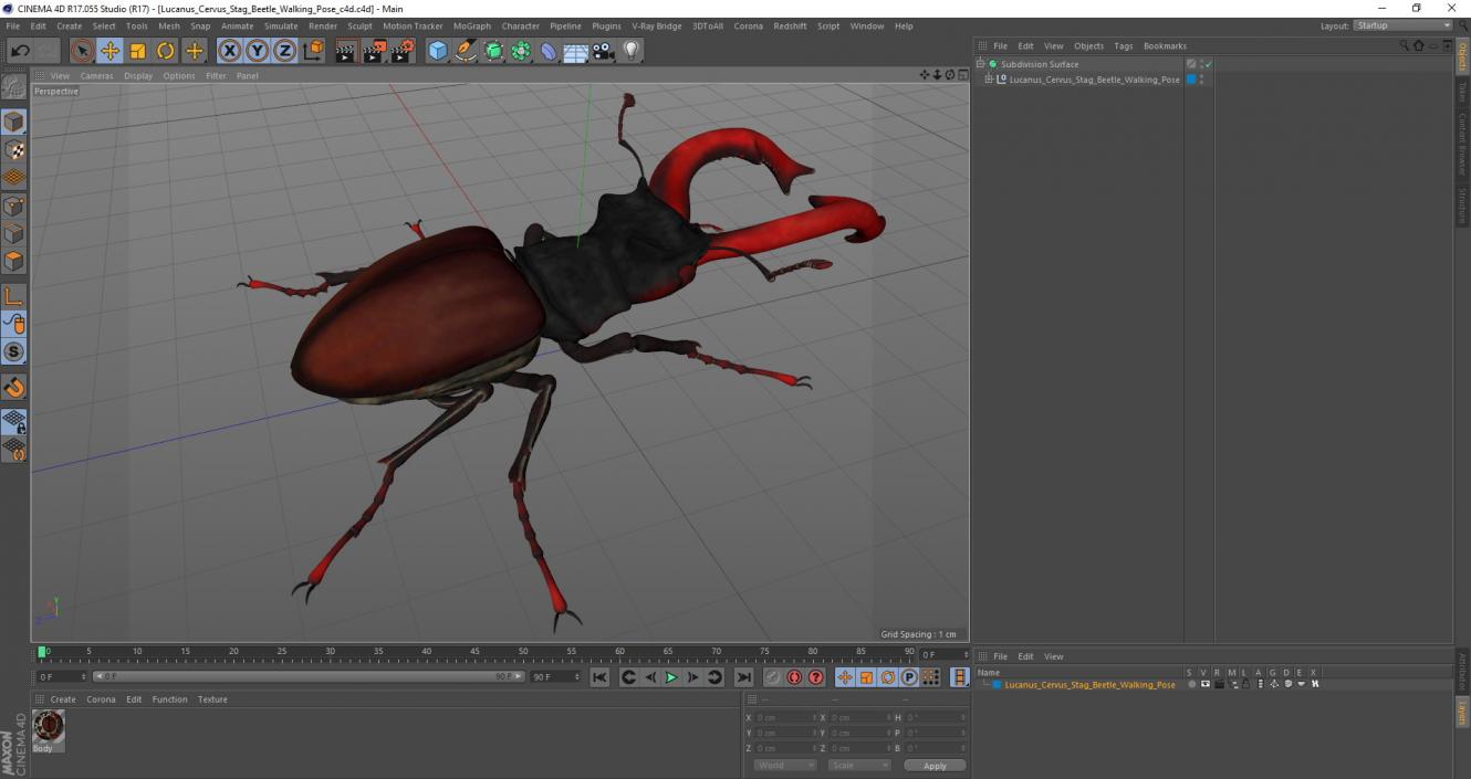 Lucanus Cervus Stag Beetle Walking Pose 3D model