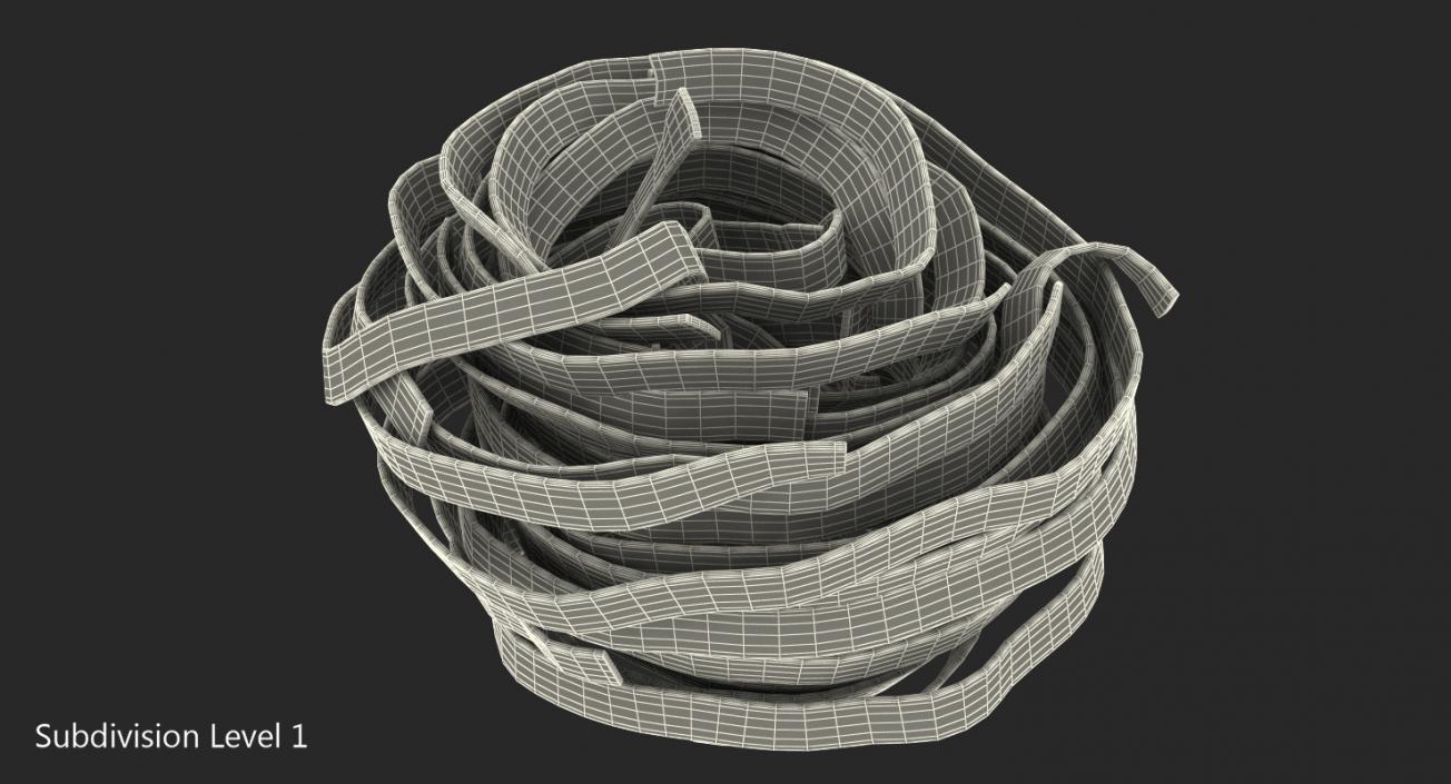 Spaghetti Nest 3D model