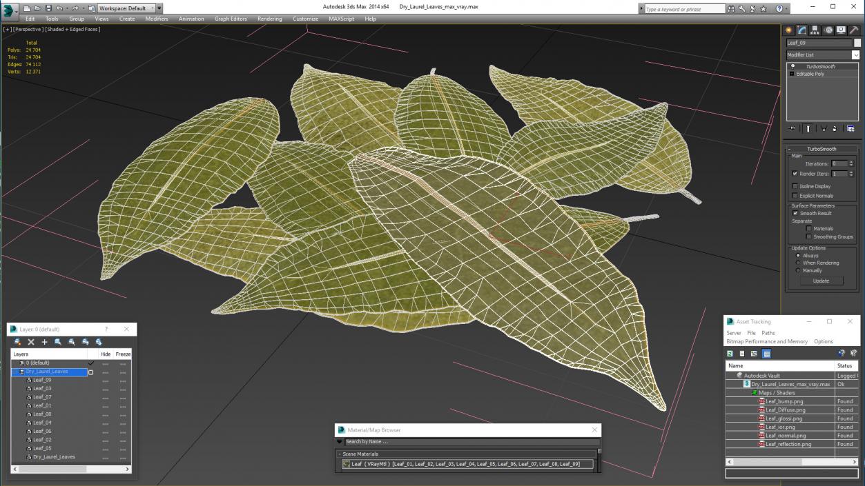 Dry Laurel Leaves 3D