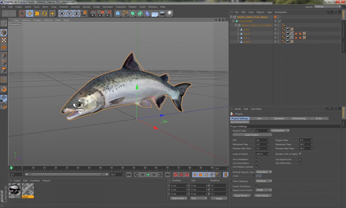 3D Atlantic Salmon Fish Attacks model