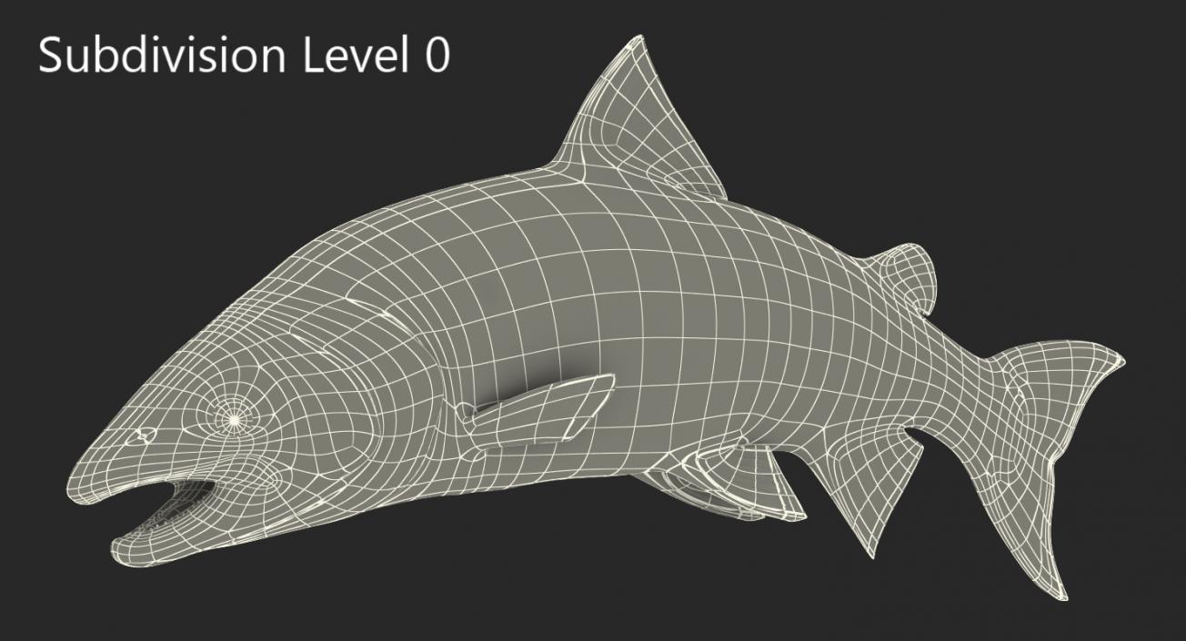 3D Atlantic Salmon Fish Attacks model