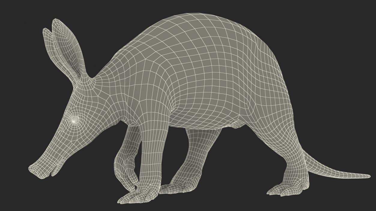 3D Mammal Aardvark Walking Pose model