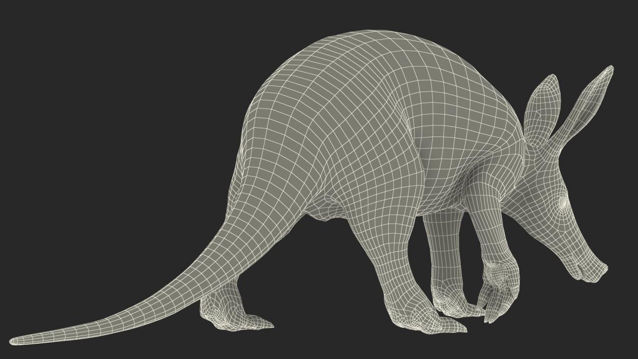 3D Mammal Aardvark Walking Pose model