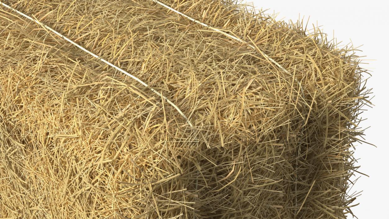 Straw Square Bale 3D