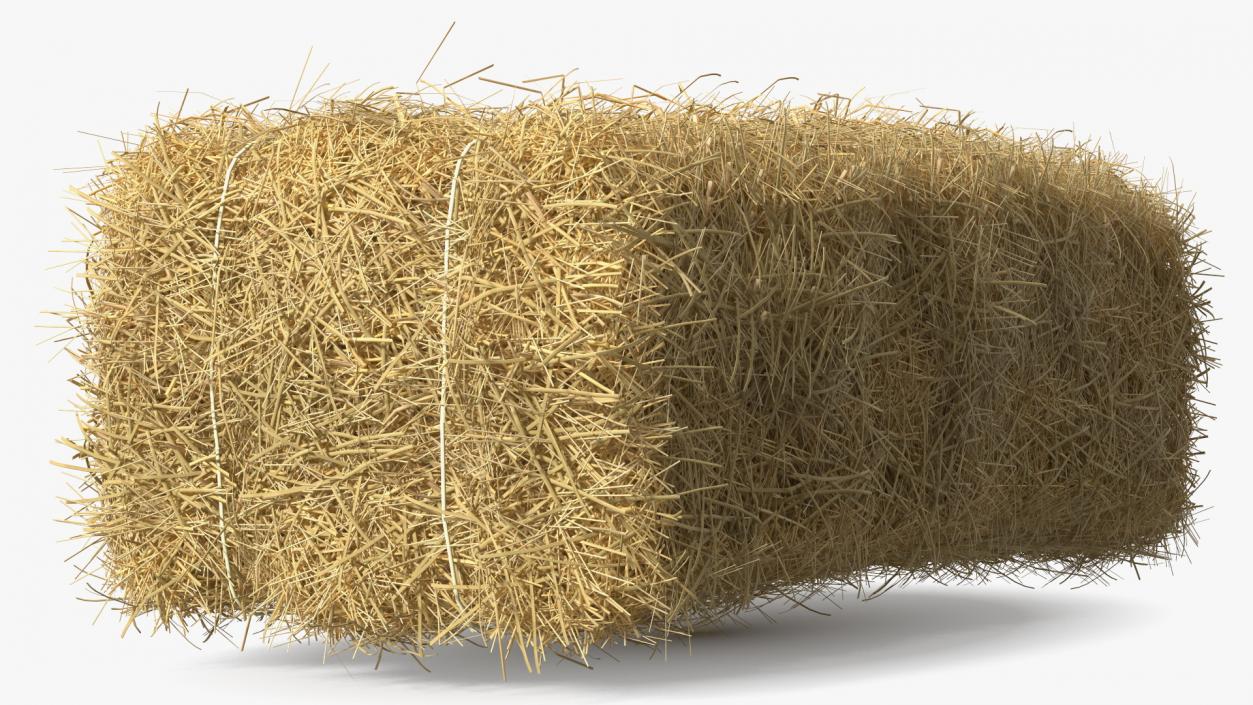 Straw Square Bale 3D