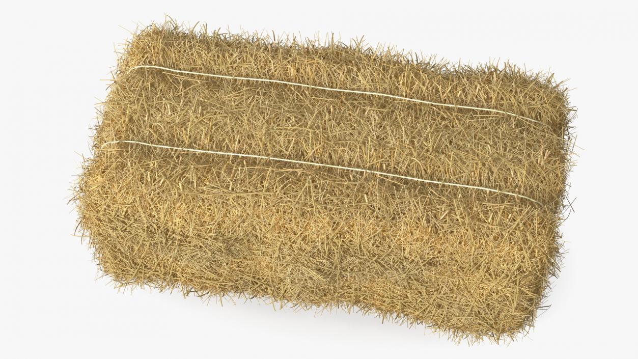 Straw Square Bale 3D