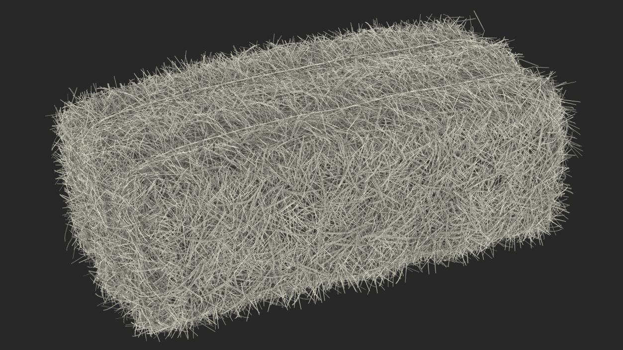 Straw Square Bale 3D