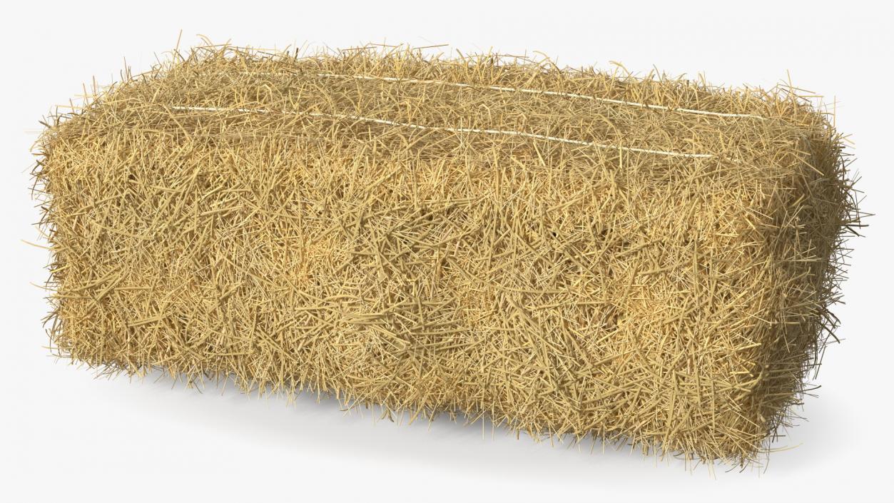 Straw Square Bale 3D