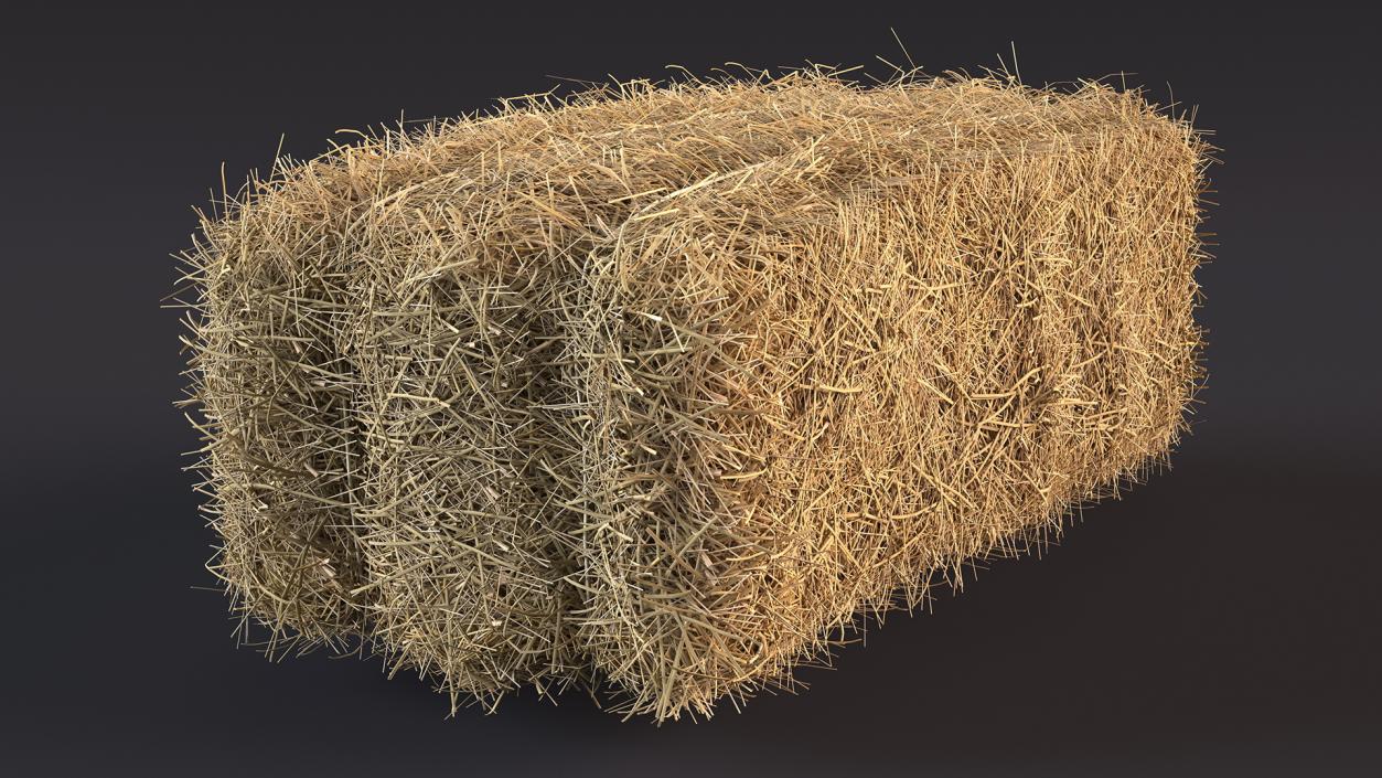 Straw Square Bale 3D