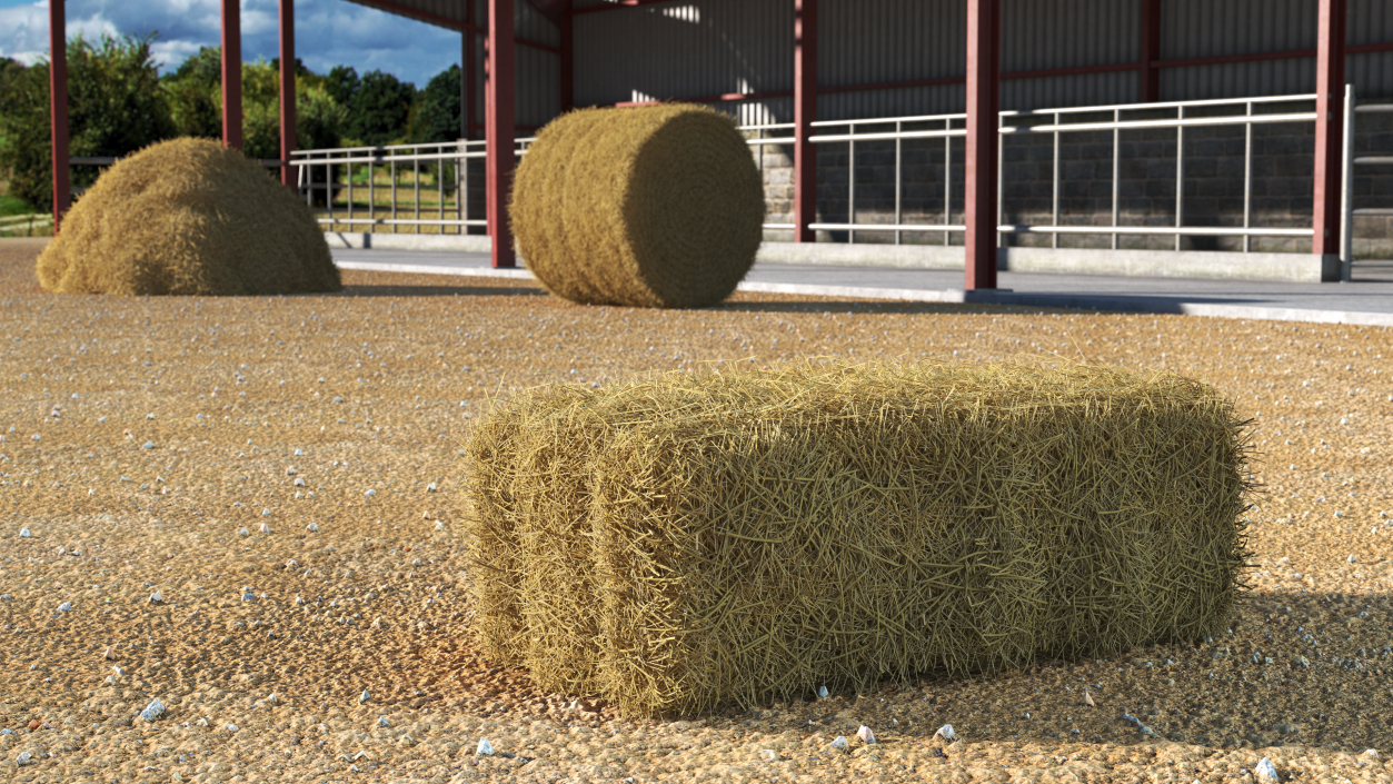 Straw Square Bale 3D