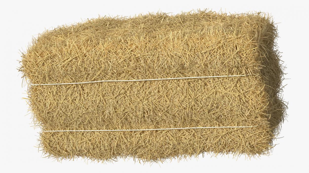 Straw Square Bale 3D