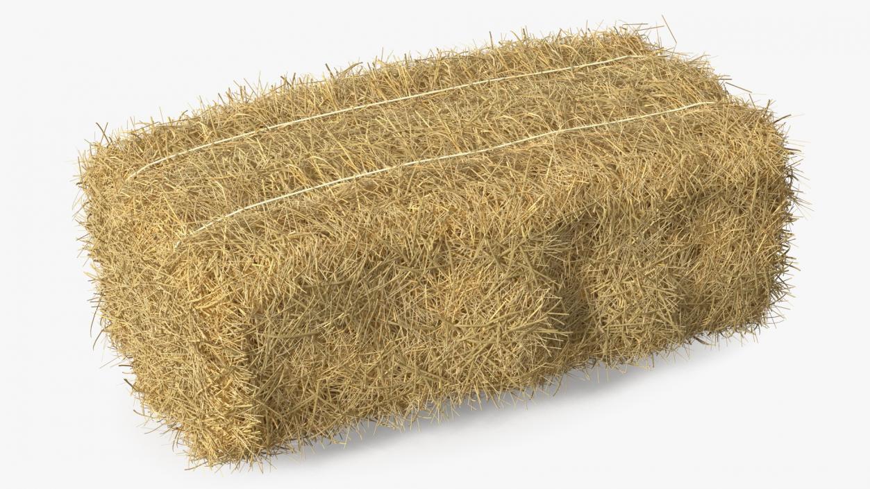 Straw Square Bale 3D