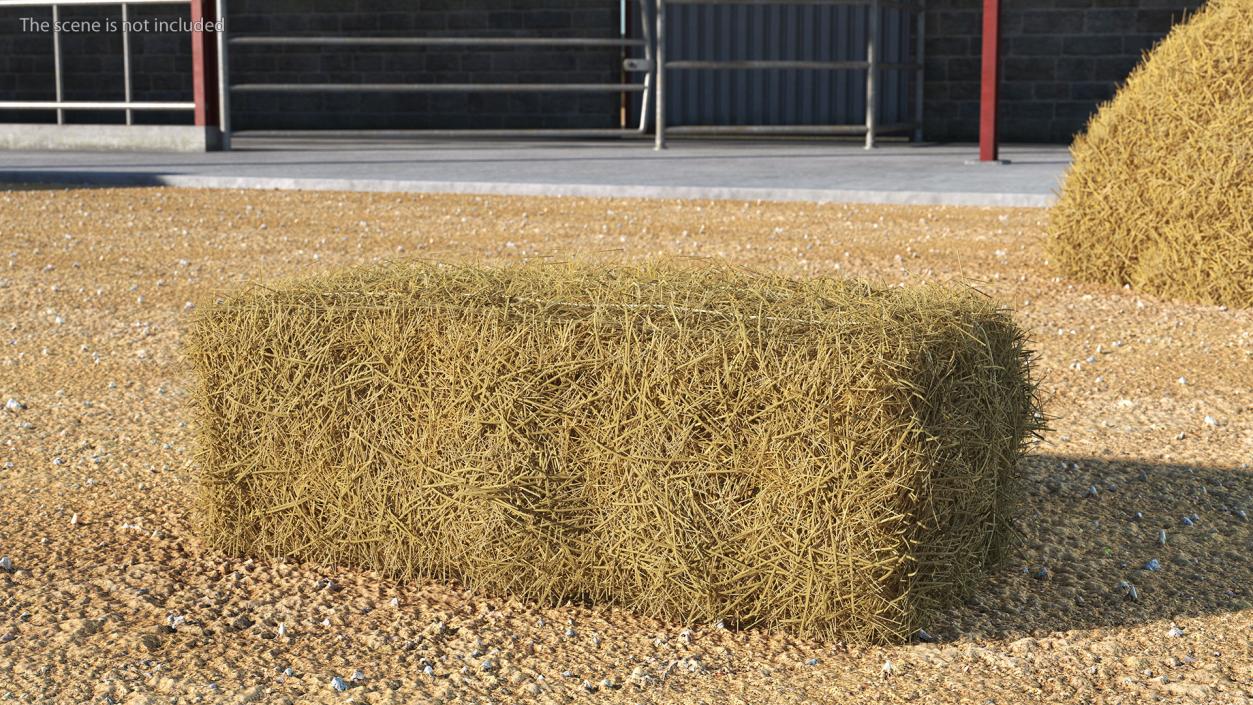 Straw Square Bale 3D