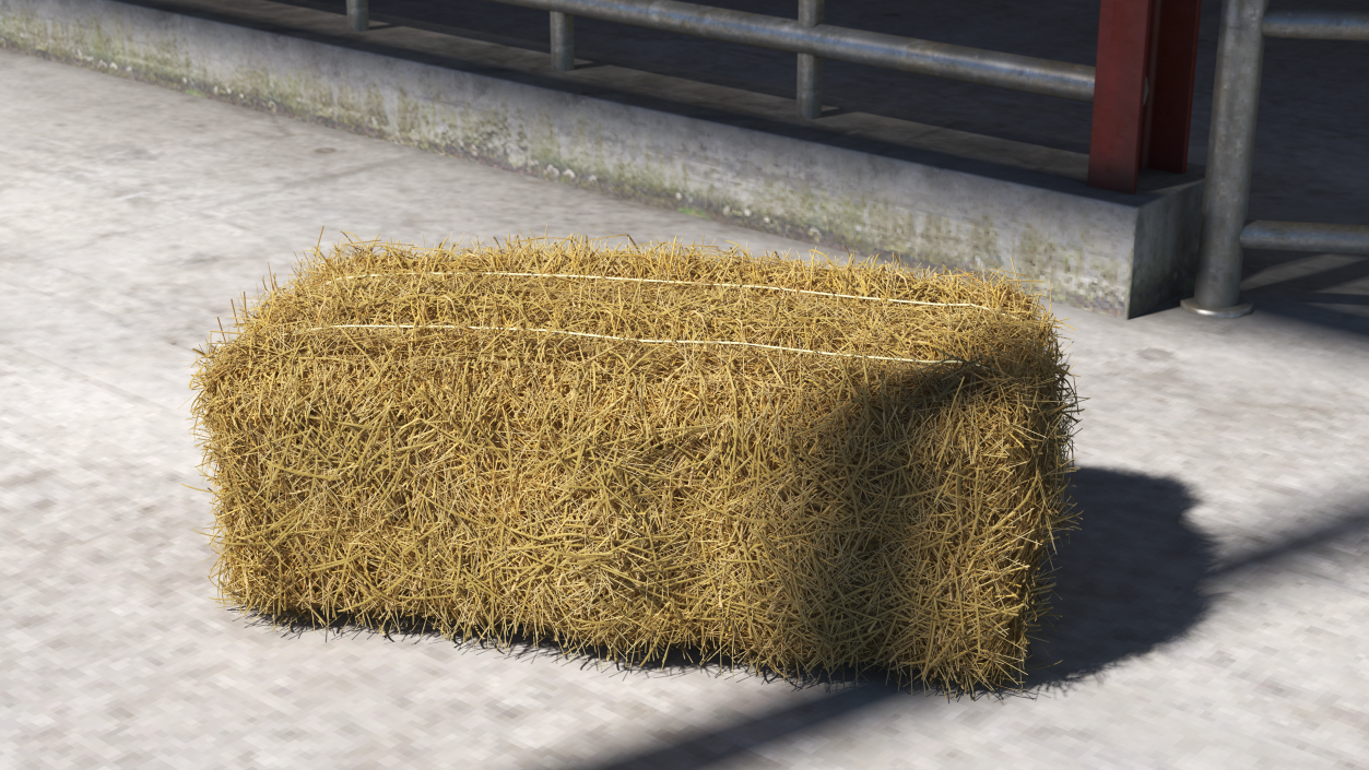 Straw Square Bale 3D