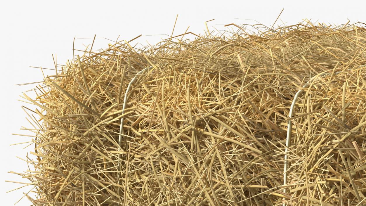 Straw Square Bale 3D