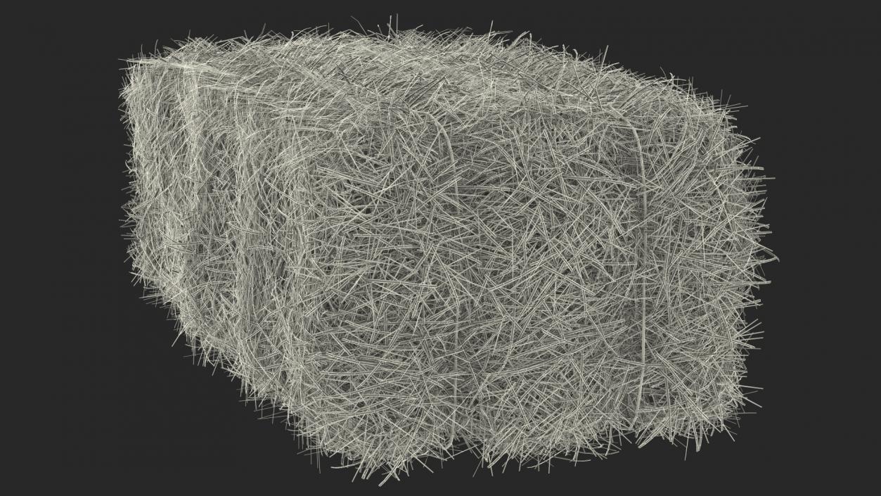 Straw Square Bale 3D