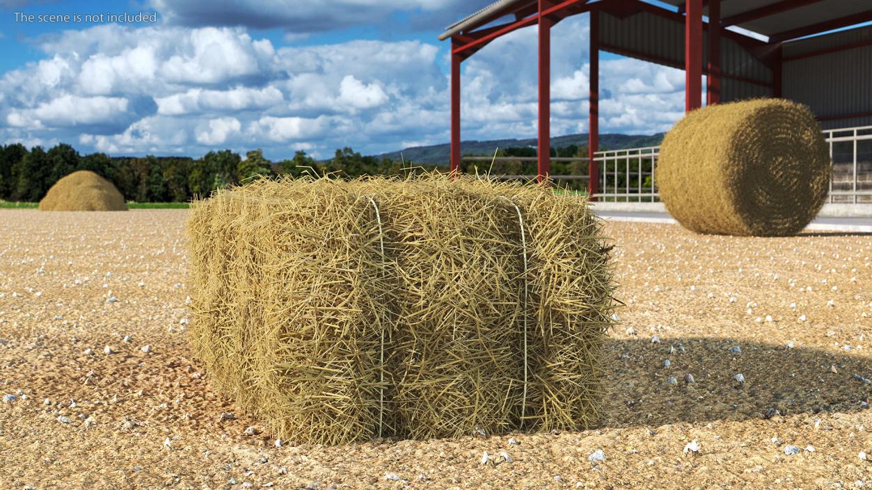 Straw Square Bale 3D