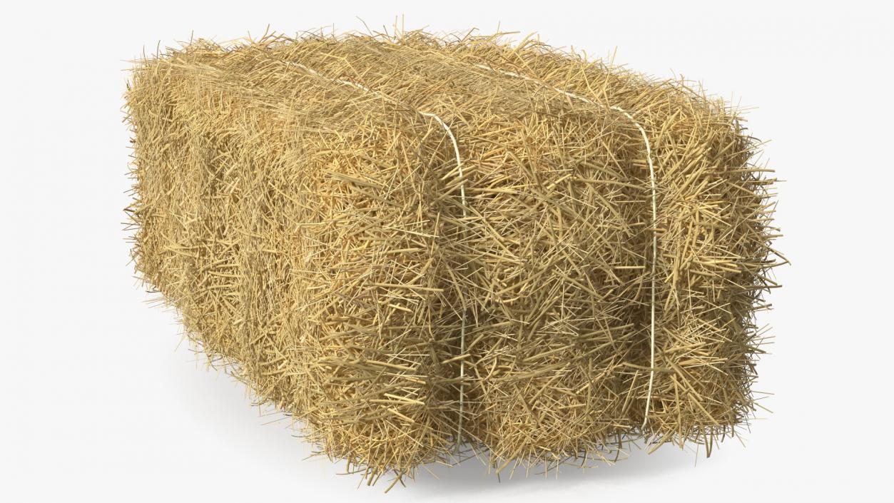 Straw Square Bale 3D