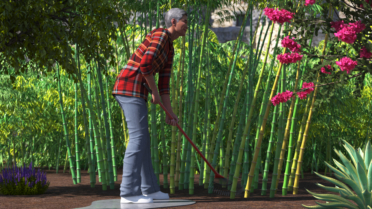 3D Korean Old Aged Man Raking