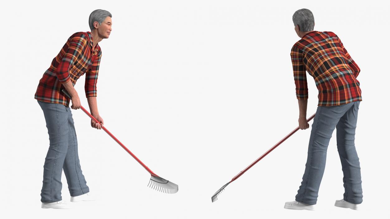 3D Korean Old Aged Man Raking