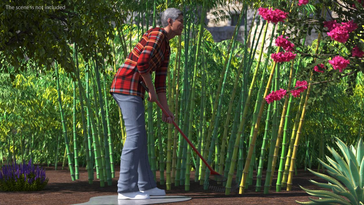 3D Korean Old Aged Man Raking